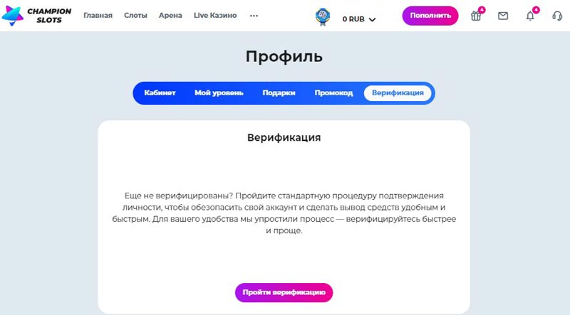 Окно верификации